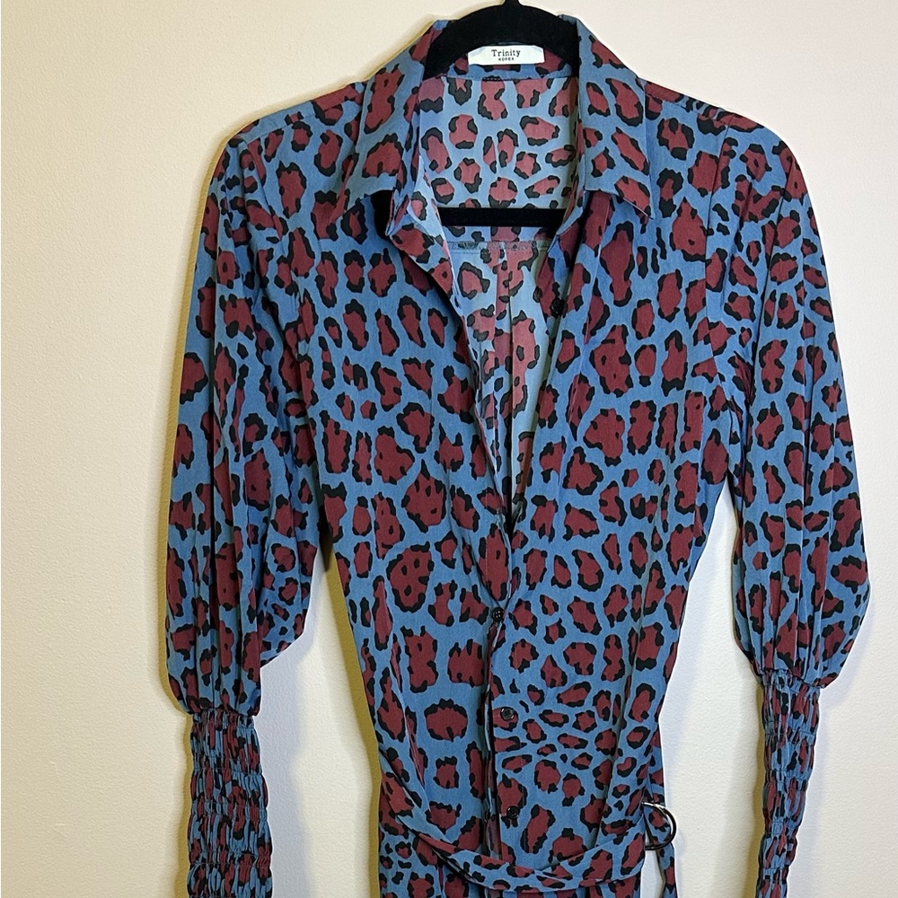 Cheetah print long sleeve button down dress